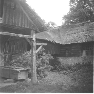 eika image